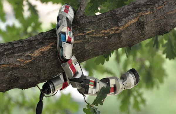 Terrifying Robot Snake Will Rescue You Whether You Like It Or Not