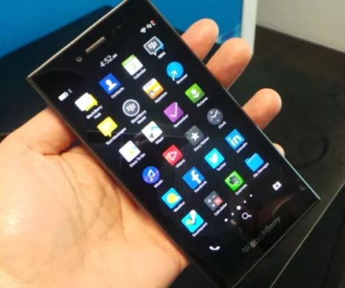 Blackberry Leap