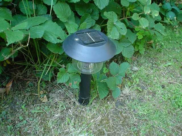 Solar-Powered Garden Lights