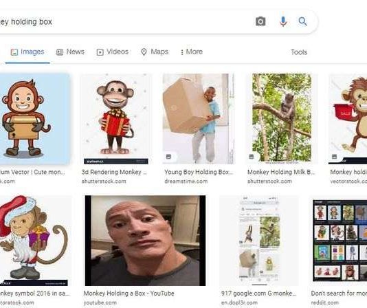 Google image search result of monkey holding box