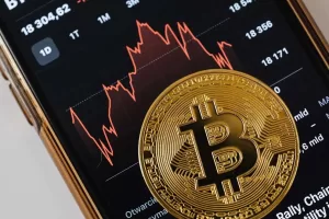Bitcoin Price Rallies
