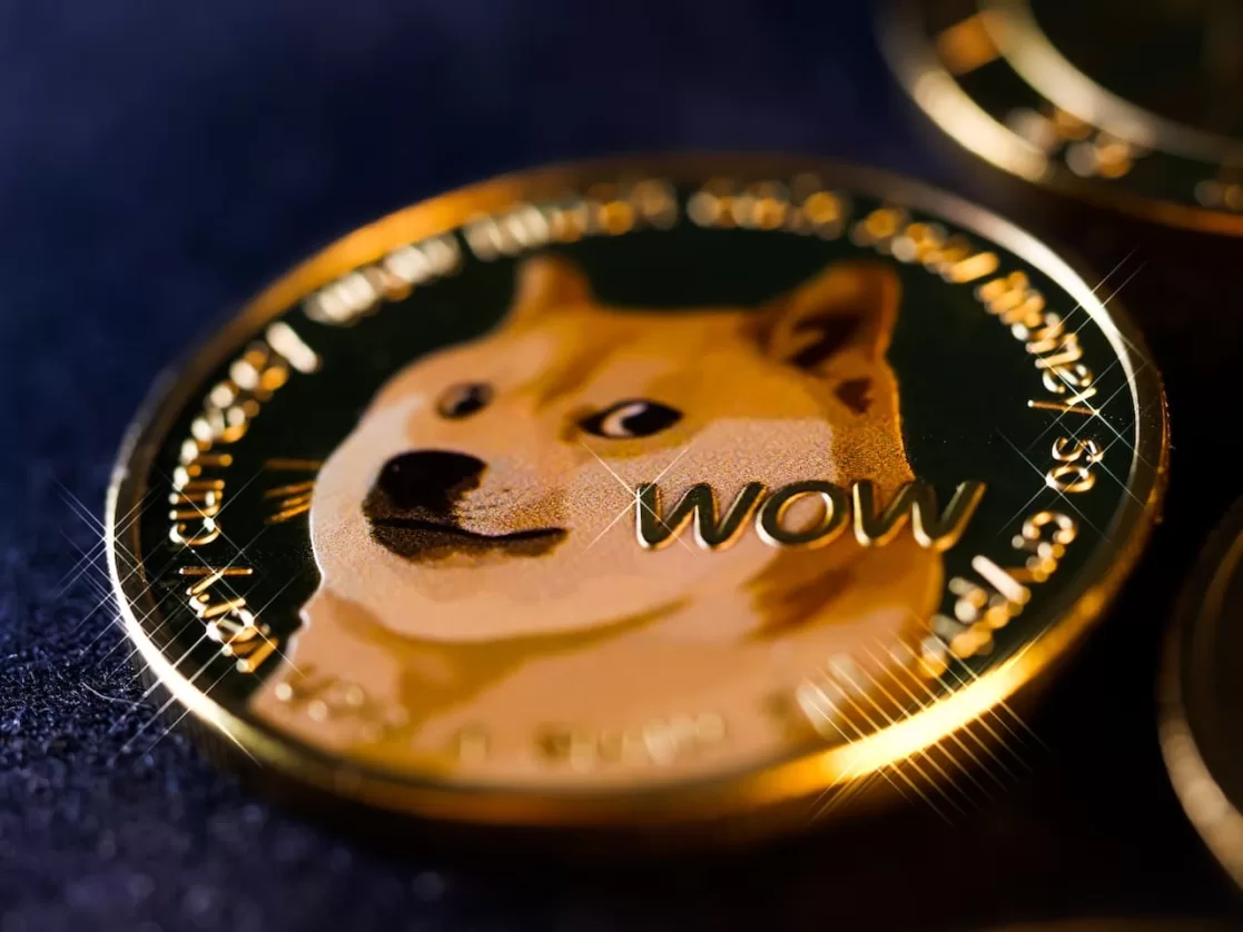 Dogecoin Drops After Elon Musk's