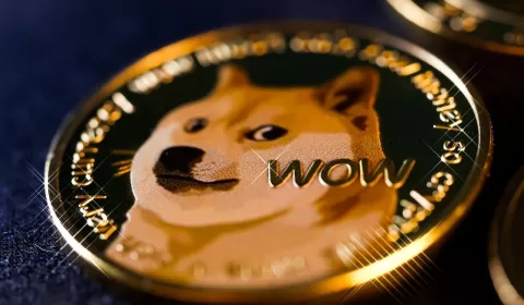 Dogecoin Drops After Elon Musk's
