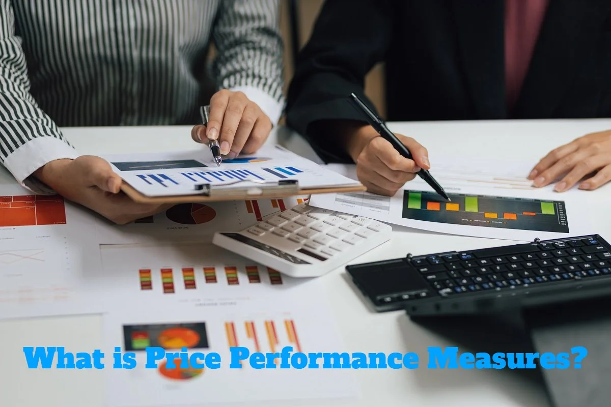 What is price performance measures