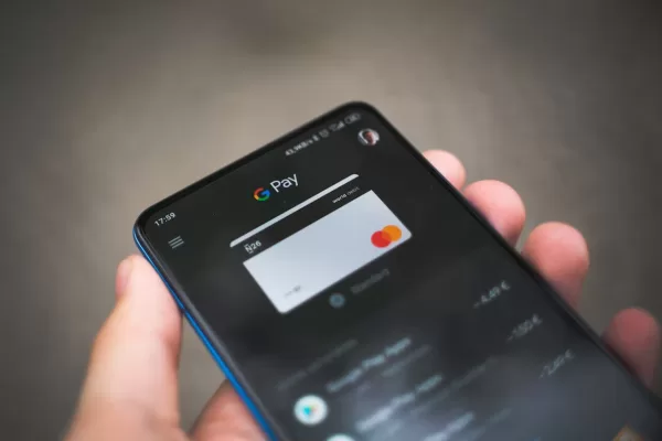 what is my paypal account number