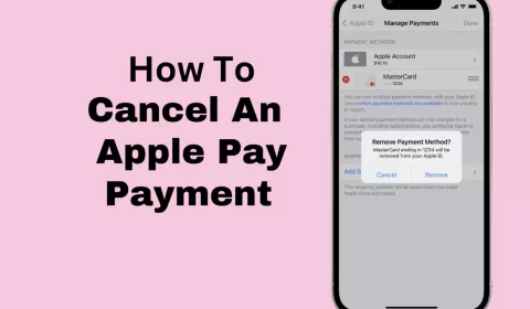 how to cancel an apple pay payment