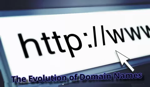 The Evolution of Domain Names