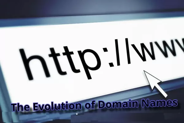 The Evolution of Domain Names