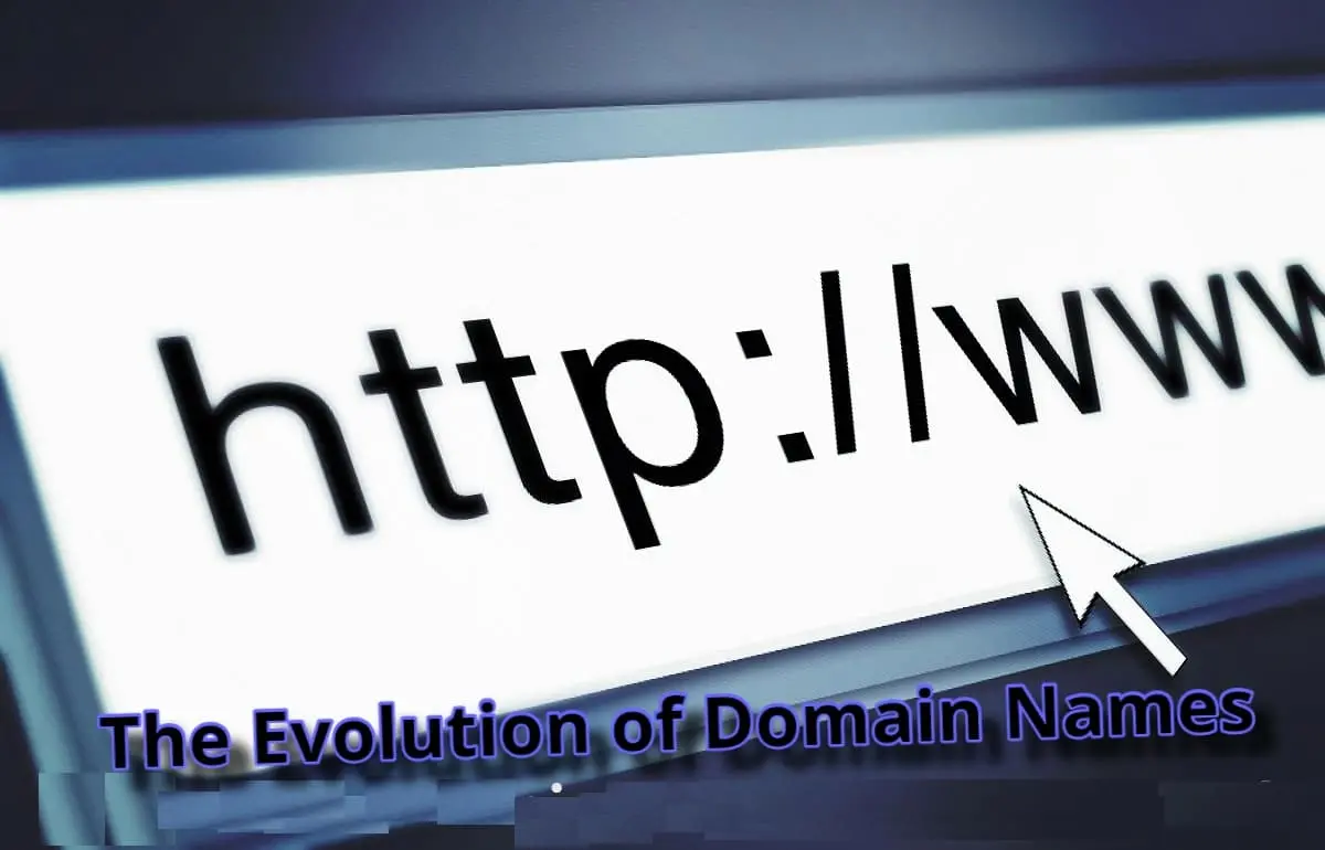 The Evolution of Domain Names